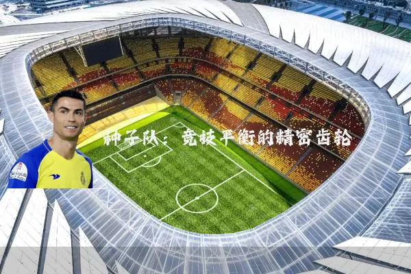 种子队:竞技平衡的精密齿轮